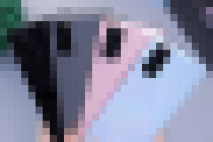 t14 1